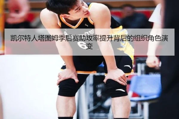 凯尔特人塔图姆季后赛助攻率提升背后的组织角色演变